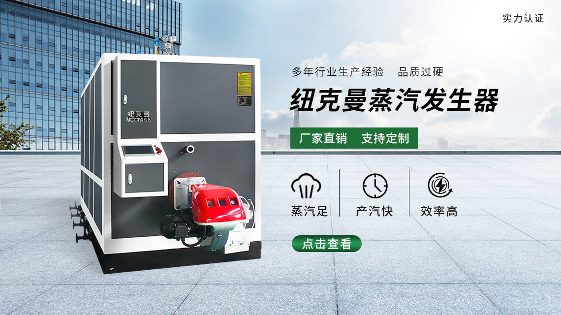12kW电蒸汽发生器价格：纽克曼的品质与价值