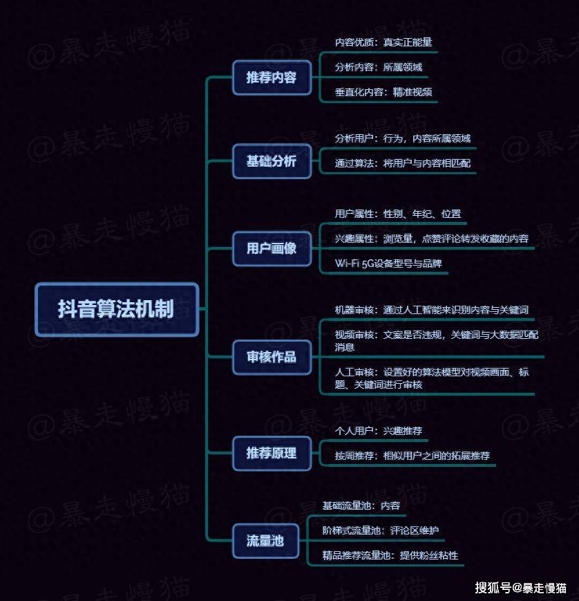 抖音的算法机制有哪些特征