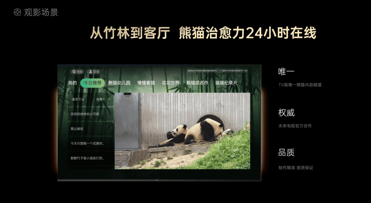 治愈再升级！长虹电视携手央视网未来电视，联手打造熊猫AI TV