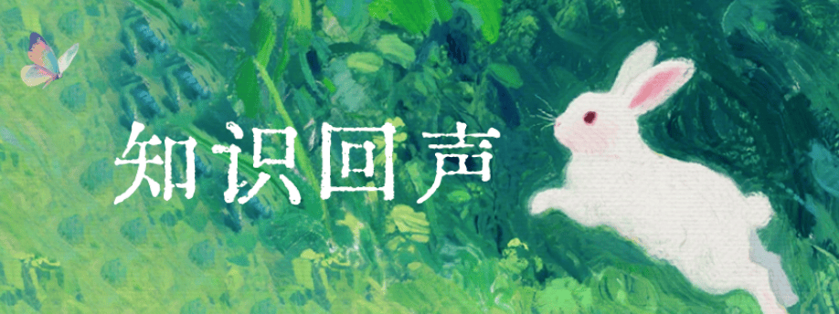 知识回声：打造便捷多元的优质知识平台