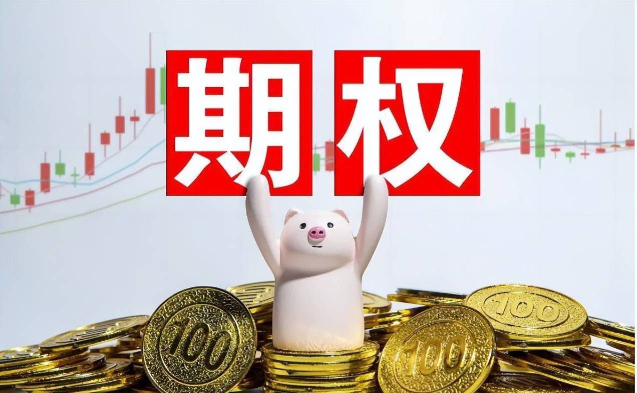 2025国内的期权手续费都是多少钱一张?