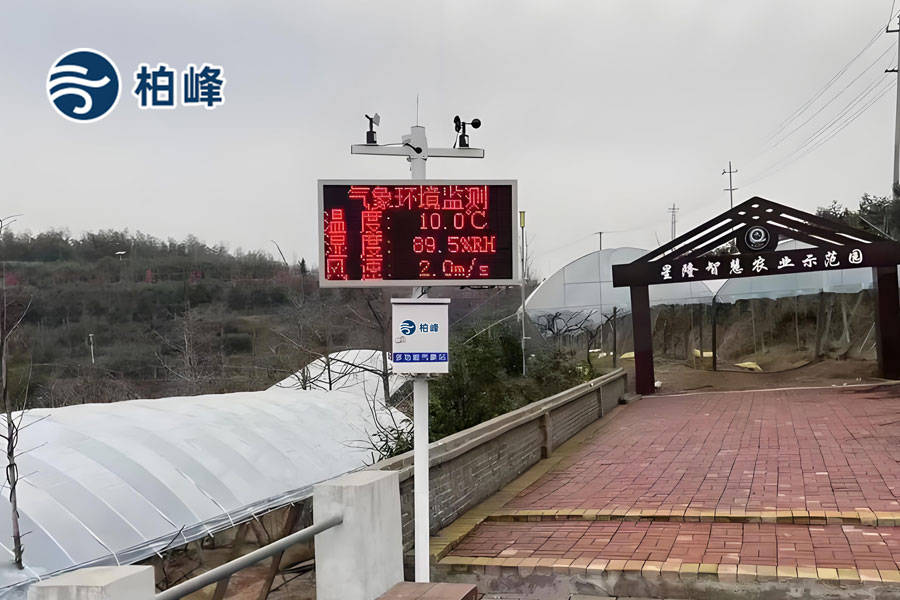 石油化工炼化一体化企业:原油加工与化工生产一体化的石油化工企业