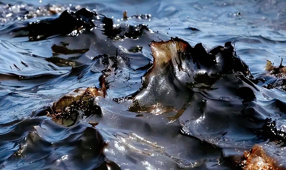 美大豆还在苦苦支撑,原油先崩了,中方半年都没买,美油价狂跌