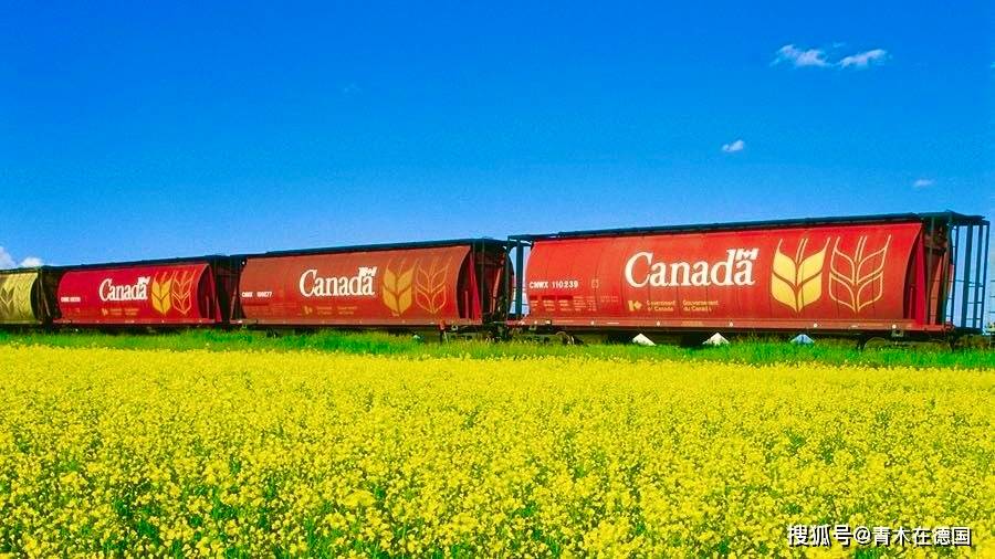 加总理明年访华!原油出口中国暴涨