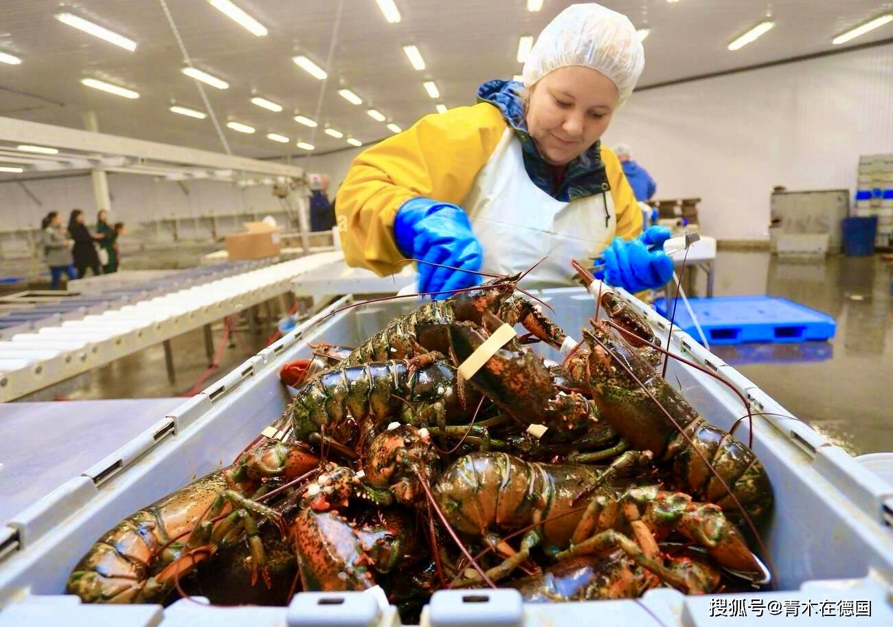 加总理明年访华!原油出口中国暴涨