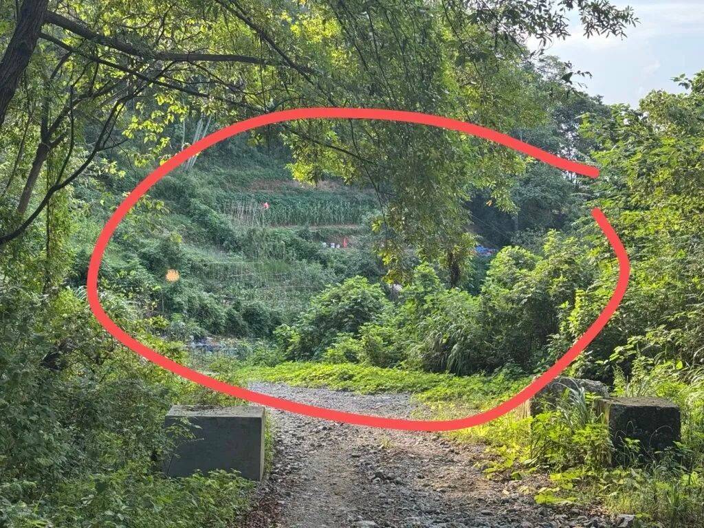 52岁女子误触氢氟酸中毒身亡，当地锁定所有者，发现三桶氢氟酸，一桶完整，两桶残余