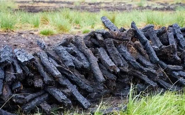 中俄泥炭储量比拼：俄罗斯总储量1800亿吨，中国储量是多少？