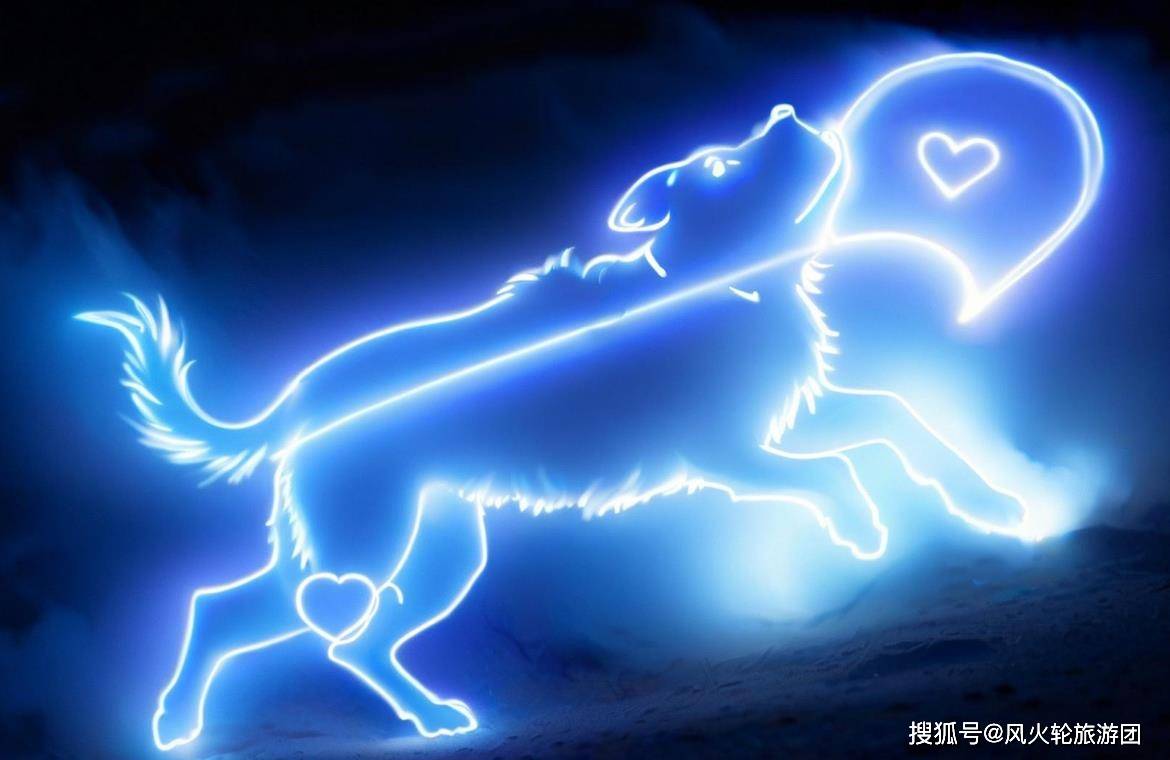 爱钱，也能赚钱的四大生肖