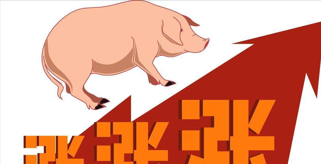 惊！猪价猛涨后降温，10月24日还会跌回去吗？
