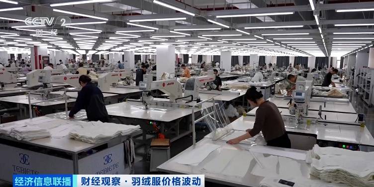 多地羽绒服，大涨价！原因找到了