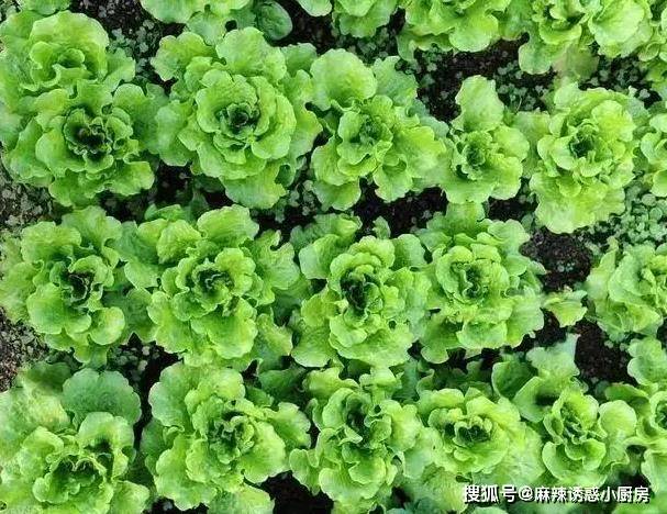 炒方便面怎么做好吃？炒方便面有营养吗？