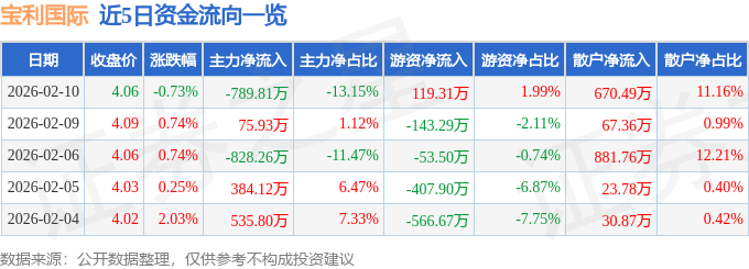 股票行情快报：宝利国际（300135）2月10日主力资金净卖出789.81万元