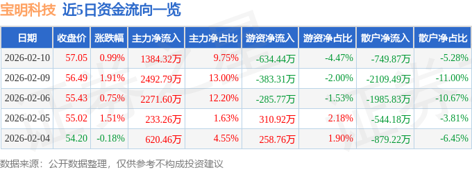 股票行情快报：宝明科技（002992）2月10日主力资金净买入1384.32万元