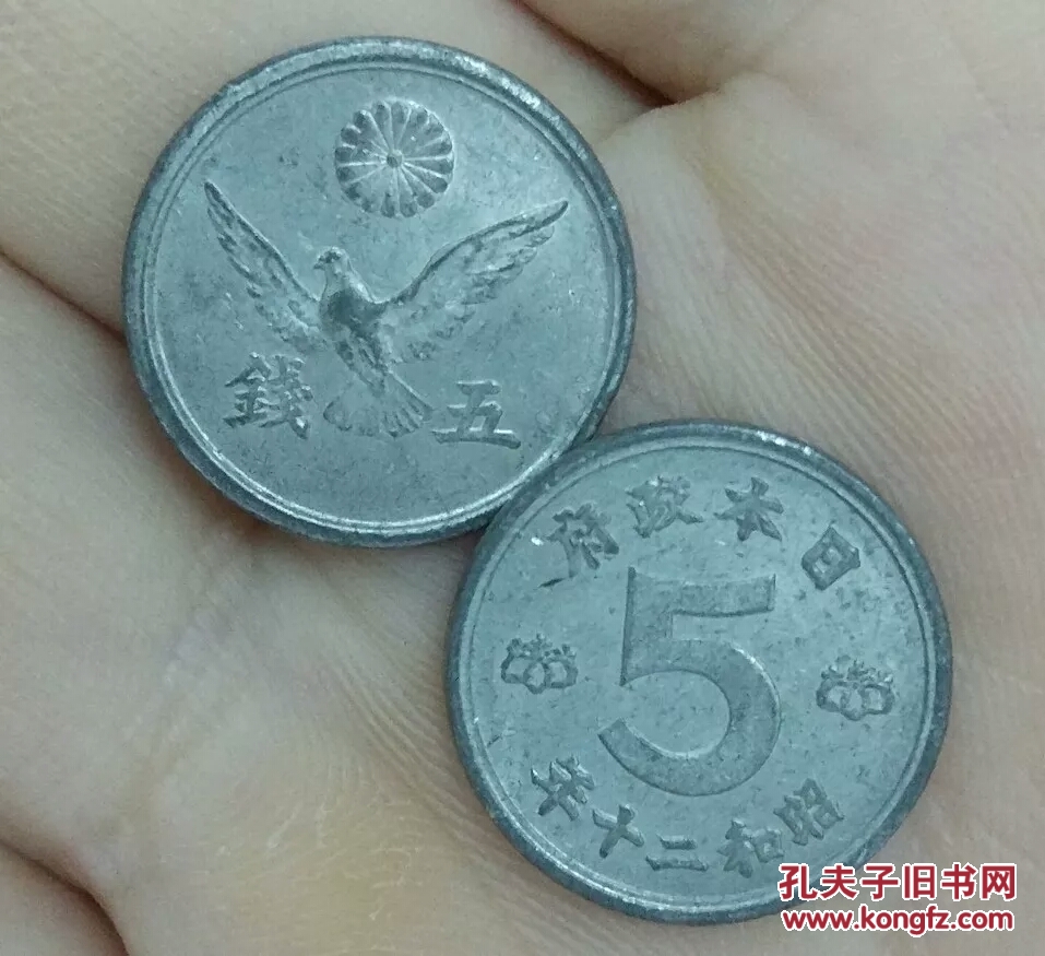 鸽子币(鸽子血可以喝生的吗)