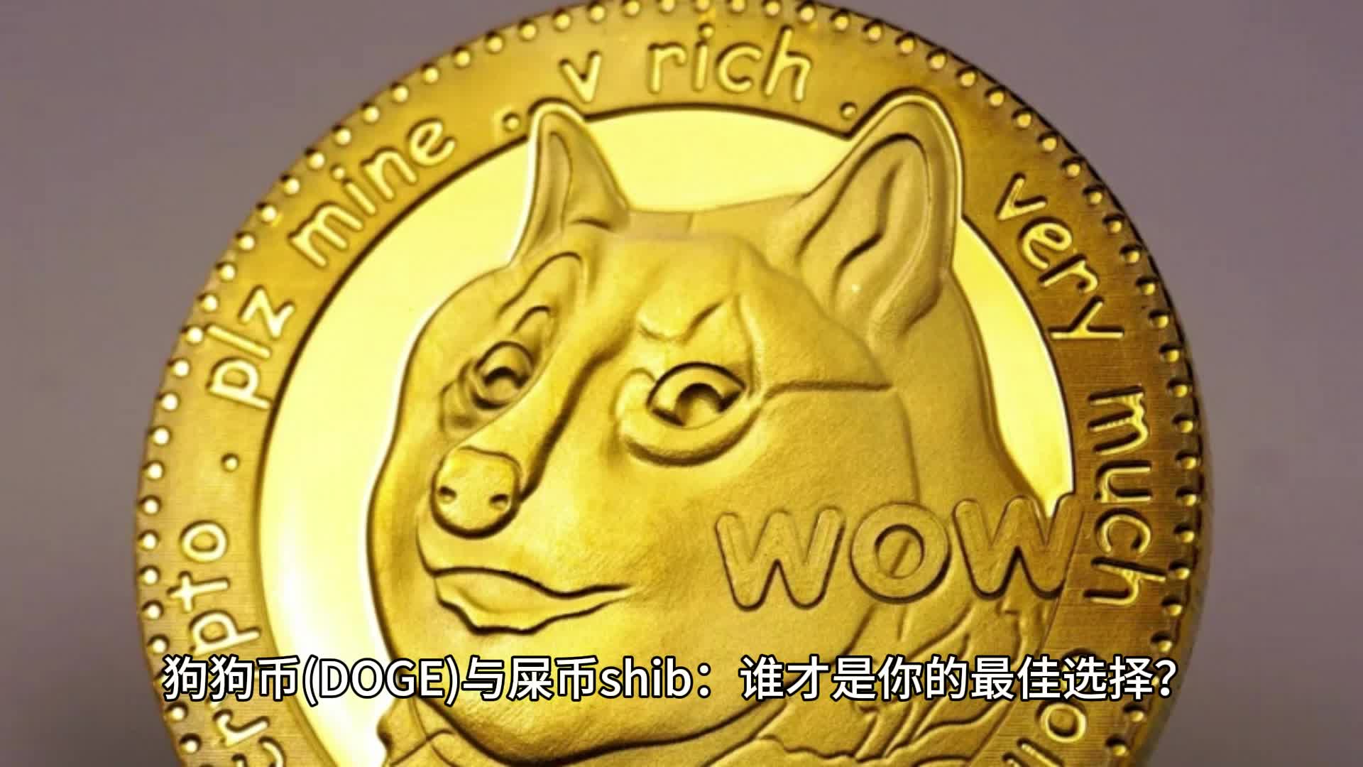 屎币(屎币最高涨了多少倍)