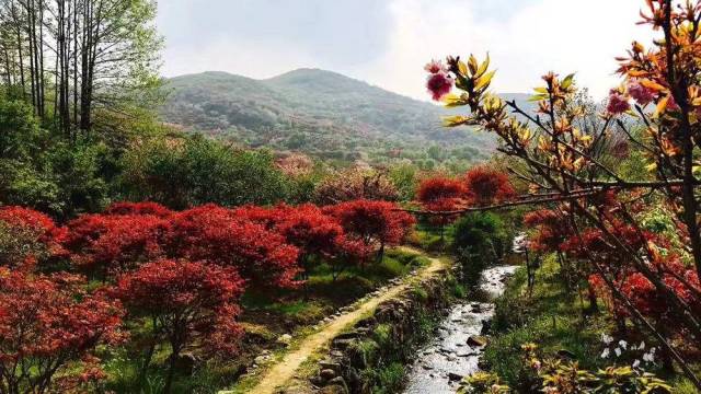 沃币(沃币兑换不了流量)