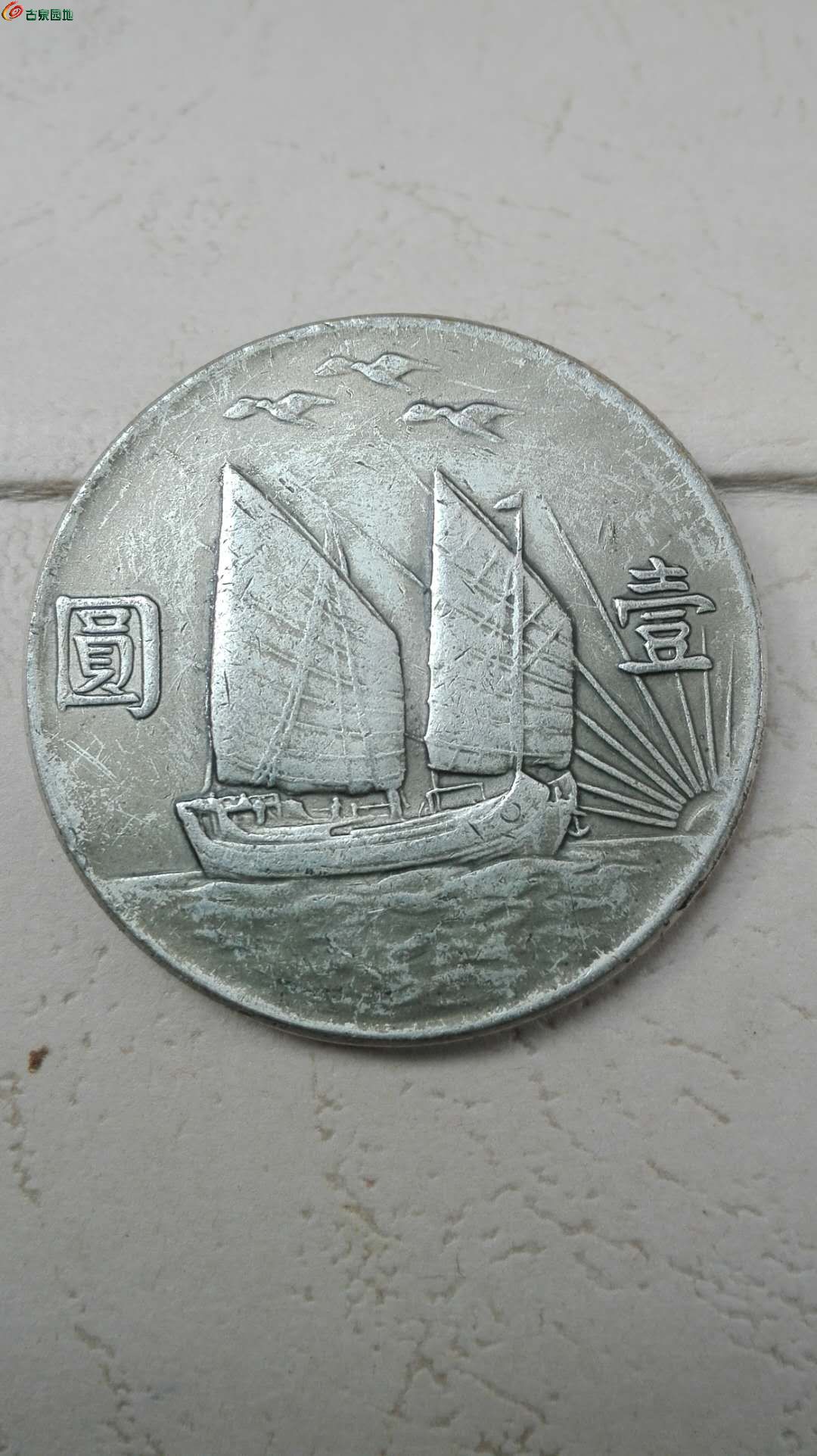 三鸟币(三鸟币边齿图)