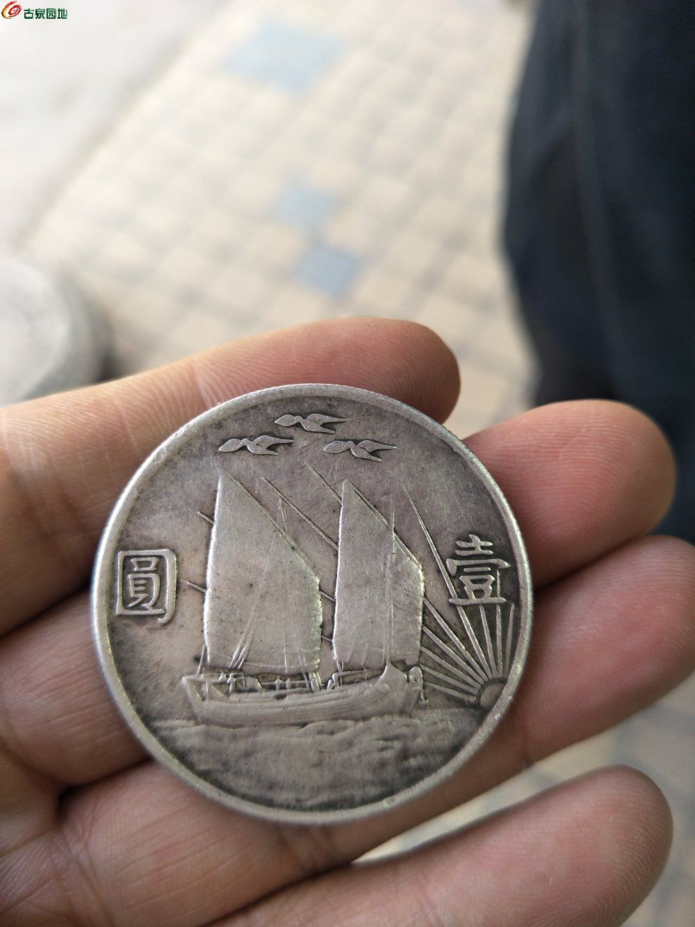 三鸟币(三鸟币边齿图)