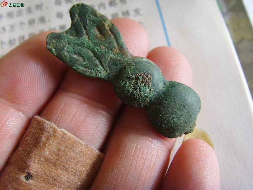 兔子币(兔子币一枚多少钱)