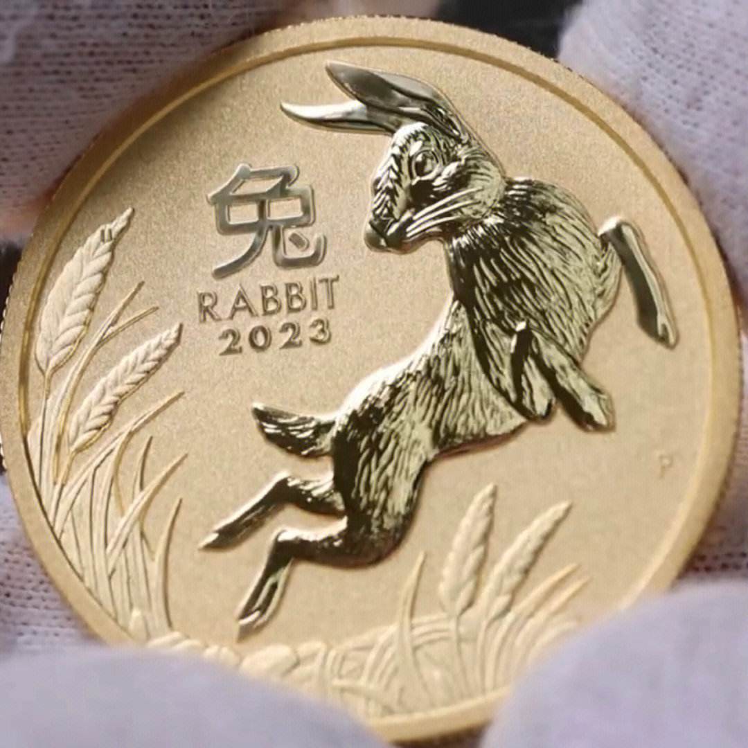 兔子币(兔子币一枚多少钱)