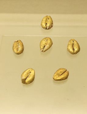 金贝币(金贝币价值多少钱)