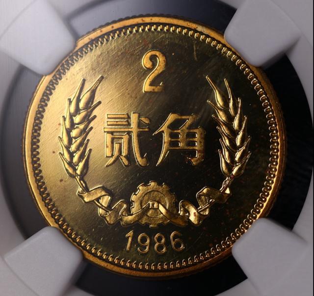 真币做不出来(真币做不出来视频搞笑)